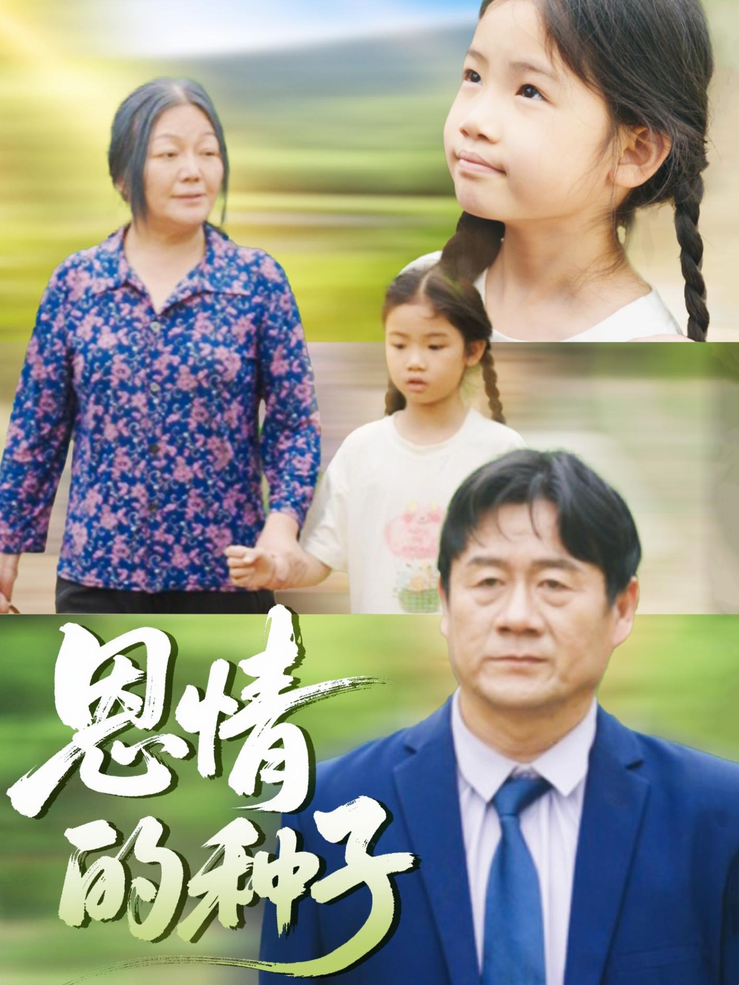 恩情的种子(全集)