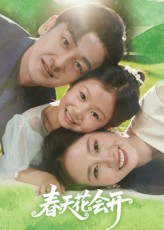 春天花会开(全集)