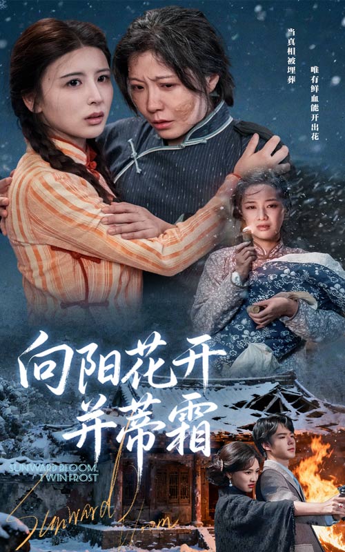 向阳花开并蒂霜(全集)