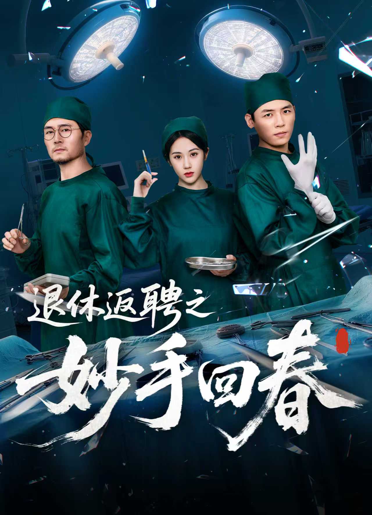 退休返聘之妙手回春(全集)