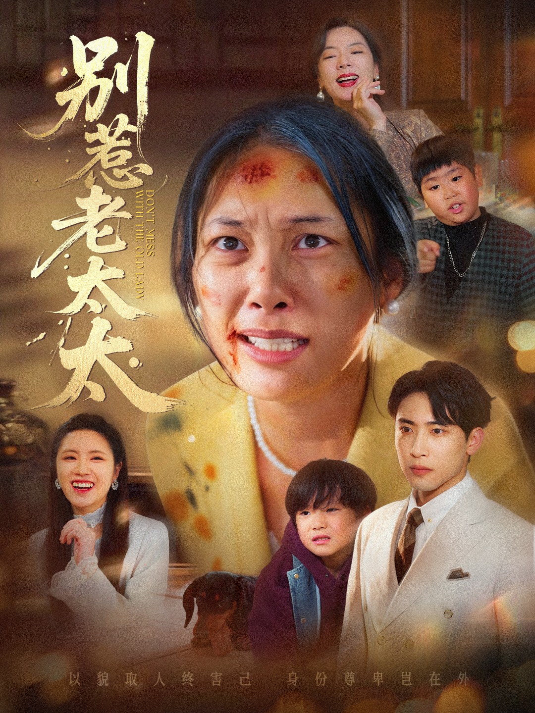 别惹老太太(全集)