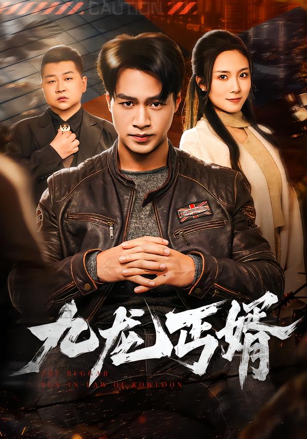 九龙丐婿(全集)